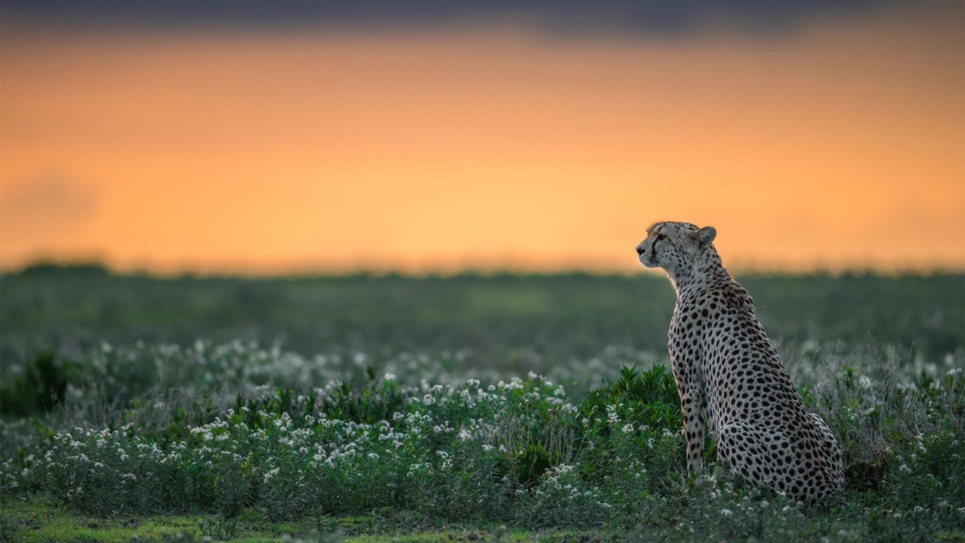 《电竞装备评测:助你成为操作高手》,电竞装置