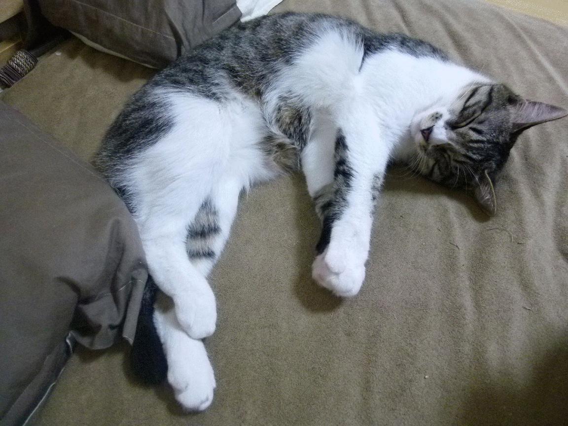 开云体育官网登入-【丁俊晖】从青涩少年到世界冠军的成长之路，搜索丁俊晖