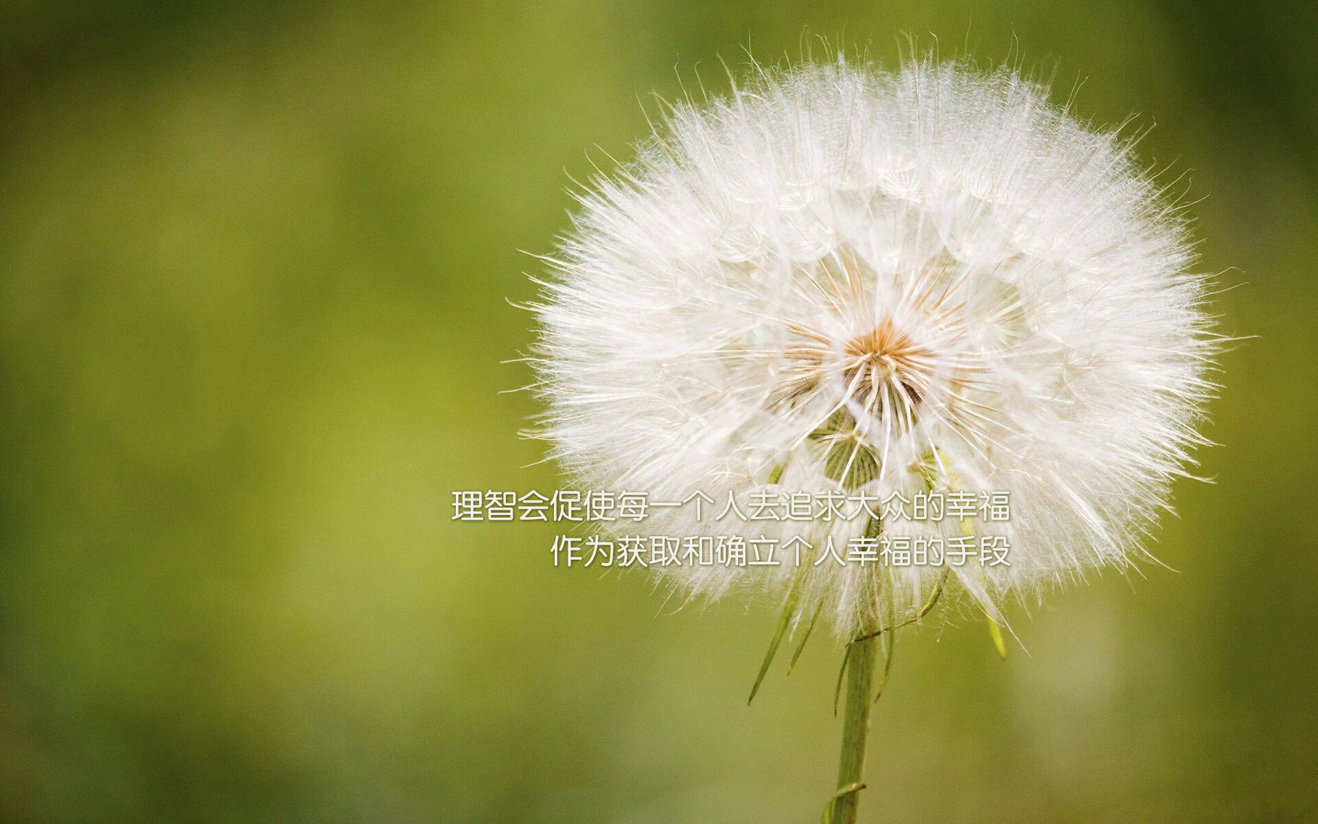 【马克·塞尔比】防守专家的职业生涯与战术演变,塞尔比防守集锦