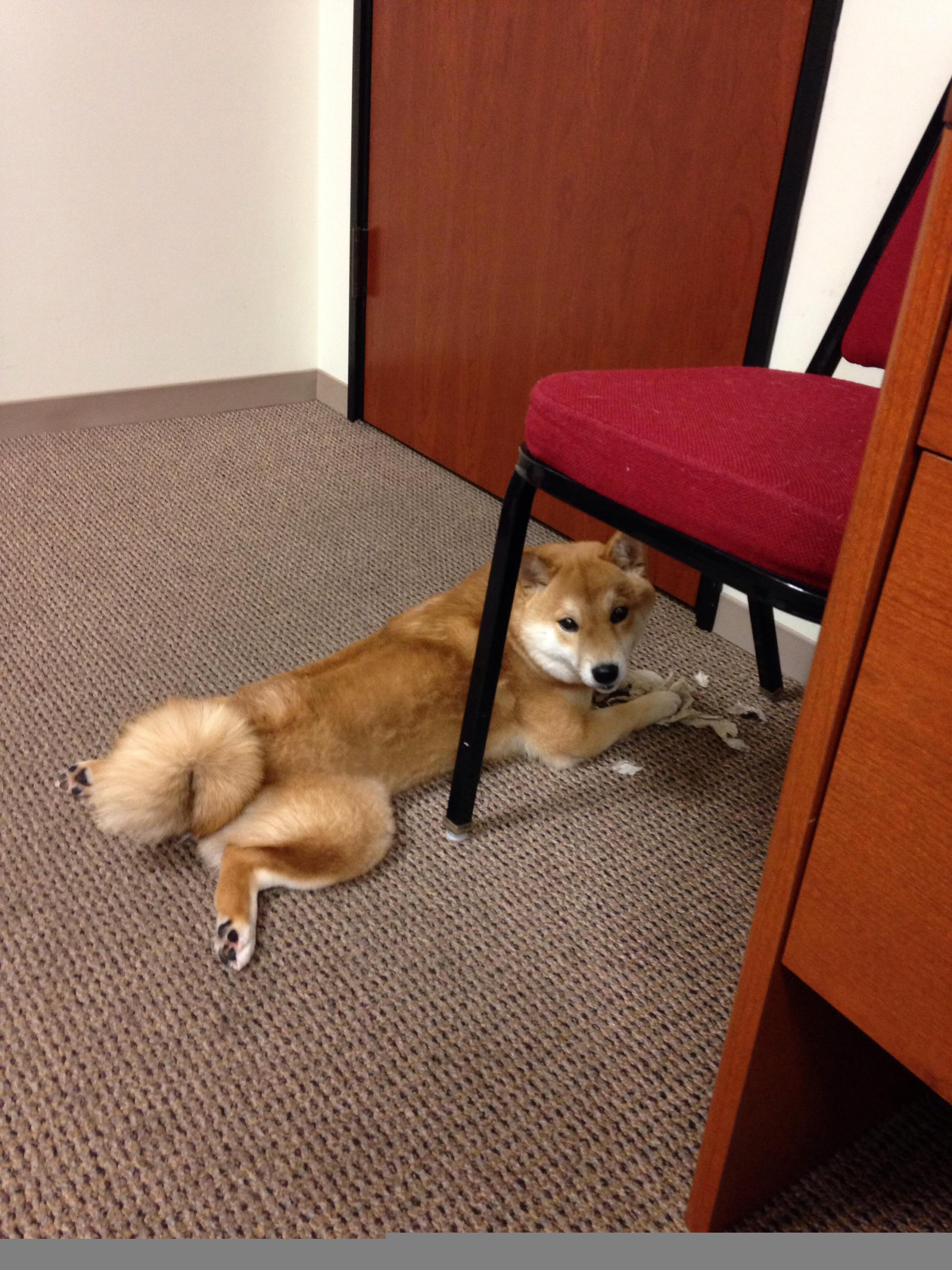 全国青少年“篮球未来星”技能大赛在南京精彩落幕，未来篮球俱乐部怎么样