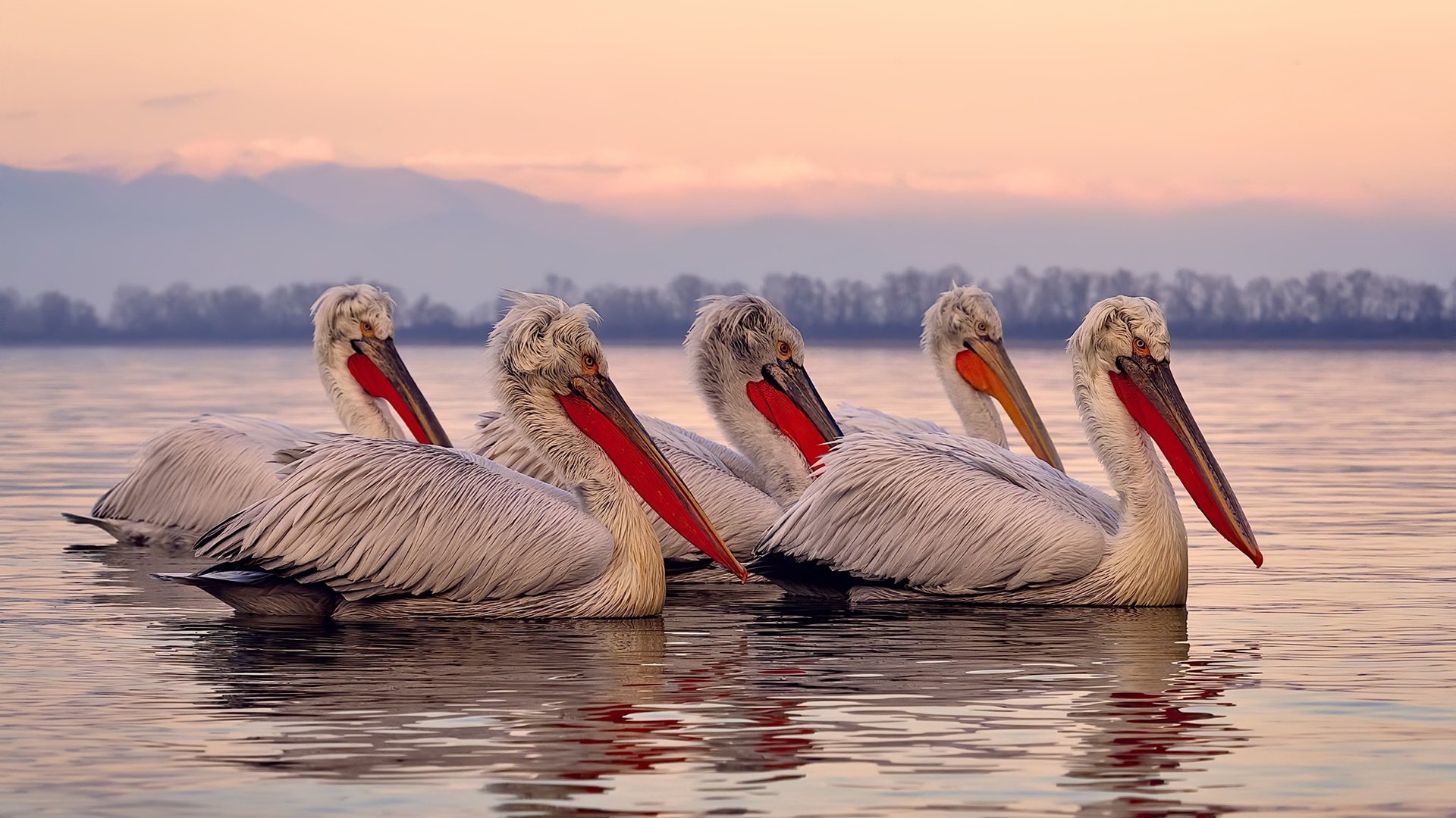 Kaiyun官方登录入口-北京青年队备战全国青少年联赛，精心打造新阵容，北京 青年